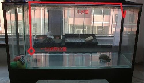 魚缸過濾器簡易制作教程：簡易魚缸過濾器制作教程 魚缸過濾器簡易制作教程：簡易魚缸過濾器制作教程 魚缸百科 第5張