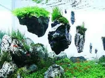 魚缸巖石造景設(shè)計(jì)：魚缸巖石造景設(shè)計(jì)的基本原則