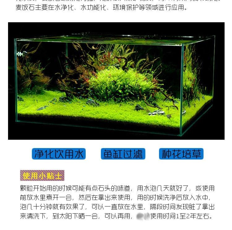 魚缸過濾材料的比較分析：魚缸過濾器過濾材料分析活性炭、陶瓷環(huán)、海綿、玻璃棉和生物濾料 魚缸過濾材料的比較分析：魚缸過濾器過濾材料分析活性炭、陶瓷環(huán)、海綿、玻璃棉和生物濾料 魚缸百科 第6張