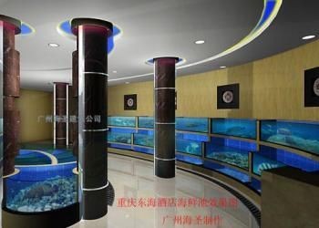 廣州洋清水族科技有限公司提供的大型亞克力魚缸價格為10000元：如何選擇家用魚缸 廣州洋清水族科技有限公司提供的大型亞克力魚缸價格為10000元：如何選擇家用魚缸 魚缸百科 第3張