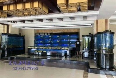 廣州洋清水族科技有限公司提供的大型亞克力魚缸價格為10000元:如何選擇家用魚缸 魚缸百科 第1張 廣州洋清水族科技有限公司提供的大型亞克力魚缸價格為10000元:如何選擇家用魚缸 廣州洋清水族科技有限公司提供的大型亞克力魚缸價格為10000元:如何選擇家用魚缸 魚缸百科 第1張