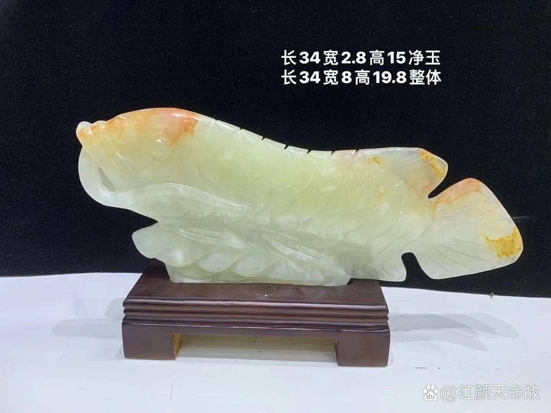 家里擺金龍魚擺件好嗎 家里擺金龍魚擺件好嗎 龍魚論壇 第5張