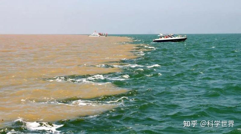 淡水魚入海是不是都死了 淡水魚入海是不是都死了 龍魚論壇 第2張