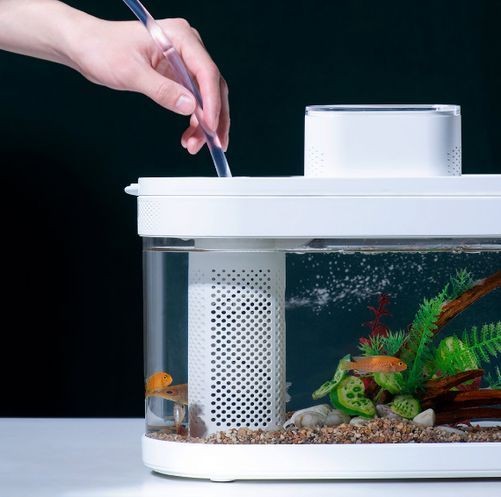 小米魚缸換水教程：小米魚缸換水指南