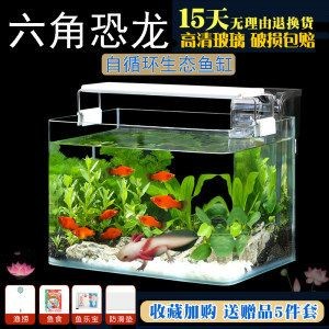 飼養(yǎng)龍魚(yú)用多大的缸：飼養(yǎng)龍魚(yú)用多大的缸具體尺寸以確保其正常生長(zhǎng)和健康 飼養(yǎng)龍魚(yú)用多大的缸：飼養(yǎng)龍魚(yú)用多大的缸具體尺寸以確保其正常生長(zhǎng)和健康 龍魚(yú)百科 第1張