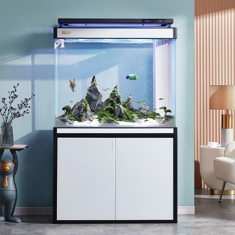 純黑龍魚：純黑色金龍魚是一種非常罕見的觀賞魚 純黑龍魚：純黑色金龍魚是一種非常罕見的觀賞魚 龍魚百科 第2張