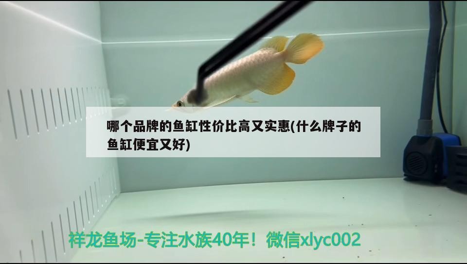 鎮江金龍魚產業城規劃圖（我三月份的時候去做首保，被4s,店的員工）