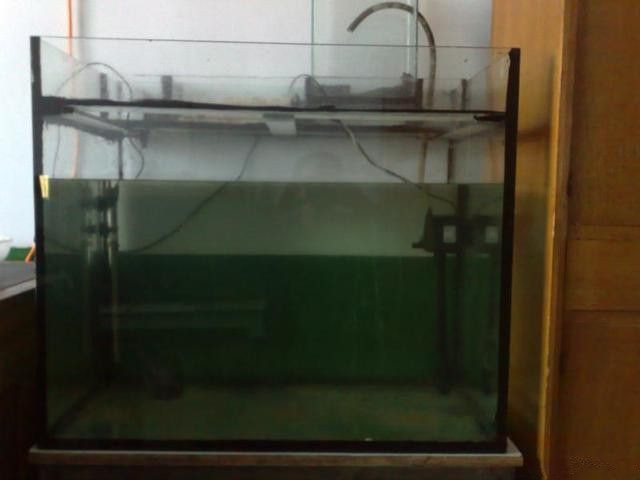 底濾魚缸濾材的擺放應該注重物理過濾和生物過濾的結合：底濾魚缸濾材擺放原則