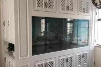 底濾魚缸濾材的擺放應該注重物理過濾和生物過濾的結合：底濾魚缸濾材擺放原則