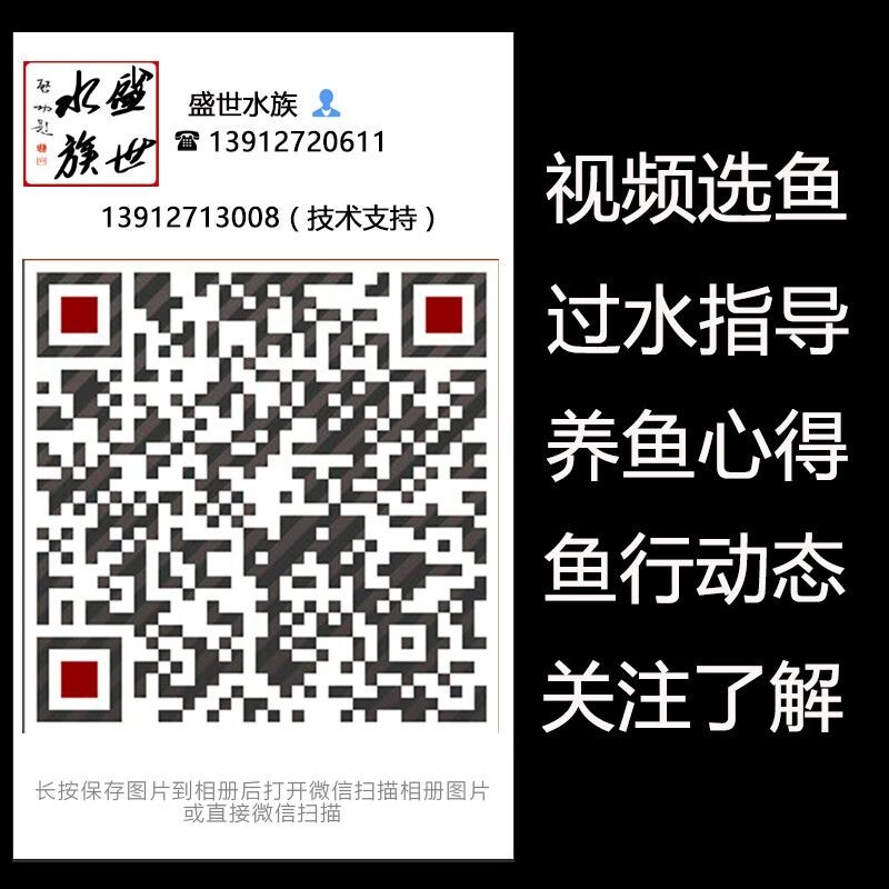 頂級紅龍魚品牌有哪些品種的蝦：頂級紅龍魚品牌有哪些