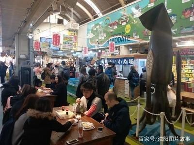 沈陽水族批發市場（沈陽水族市場特色魚類）