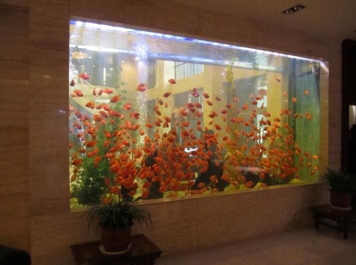 廣州大型魚缸定做的價格因素而異，水族箱養護全攻略：廣州大型魚缸定做價格