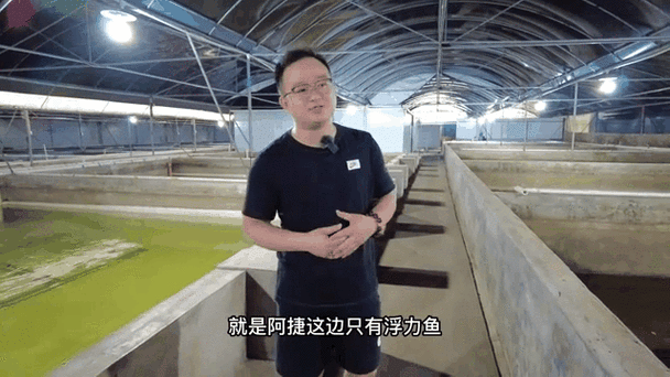 龍魚白缸還是黑缸好呢圖片