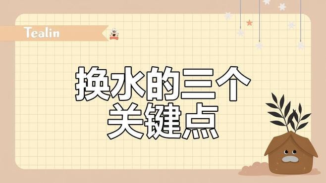 龍魚換水時如何避免應激