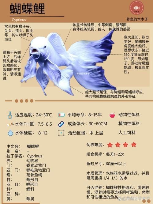 蝴蝶鯉反祖魚圖片