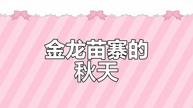 如何拍攝金龍苗的標準照片？