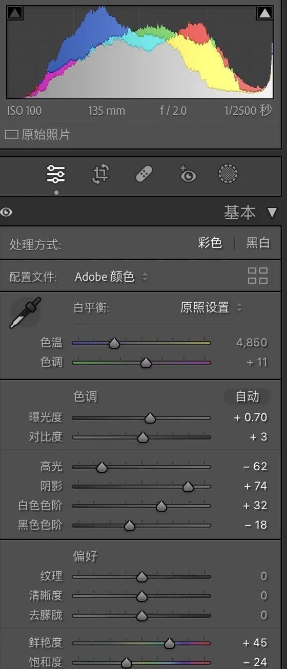 如何拍攝金龍苗的標準照片？
