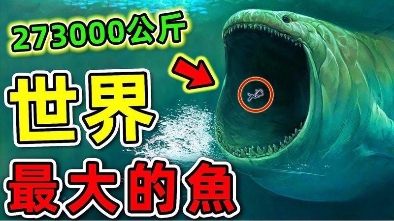 十大最大的鯨魚