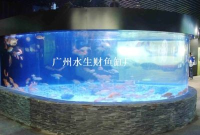 廣州水族市場的特色廣州水族市場的特色廣州水族市場：廣州賣魚缸的公司 廣州水族市場的特色廣州水族市場的特色廣州水族市場：廣州賣魚缸的公司 魚缸百科 第4張