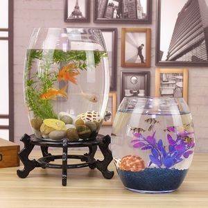 觀景小魚缸的選擇和養護：觀景小魚缸養觀景小魚缸養護觀景小魚缸怎么選魚缸