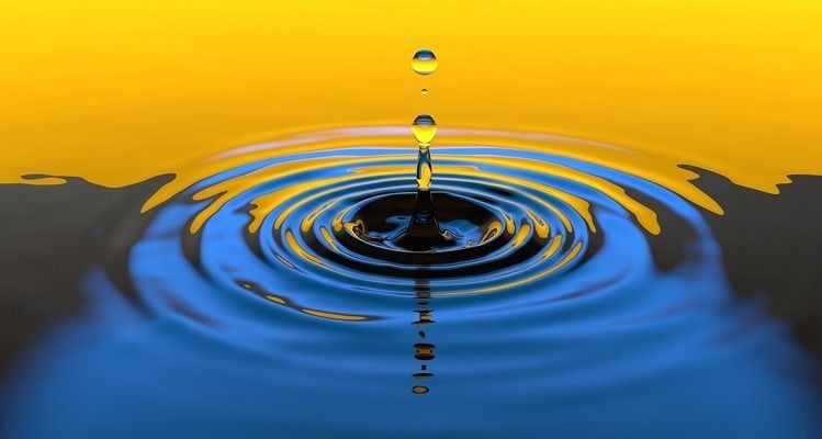 水霉病魚缸消毒指南：得過水霉病的魚缸消毒后如何養魚高錳酸鉀消毒注意事項