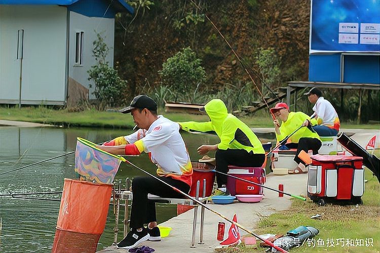 多巴鹽和魚(yú)阿法哪個(gè)好