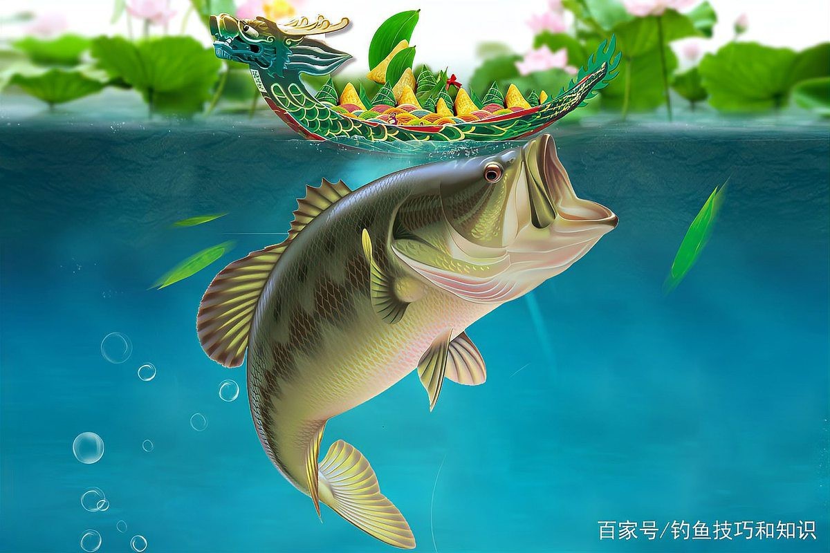 多巴鹽和魚(yú)阿法哪個(gè)好
