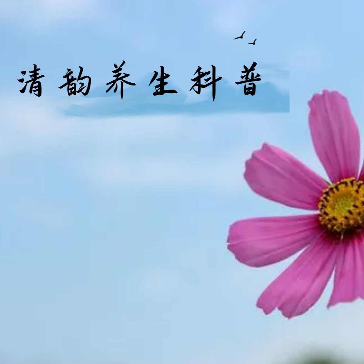 虎魚燉湯功效
