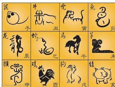 什么屬相不能養龍魚什么屬相不能養貓：什么屬相不適合養龍魚？