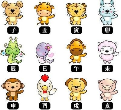 什么屬相不能養龍魚什么屬相不能養貓：什么屬相不適合養龍魚？