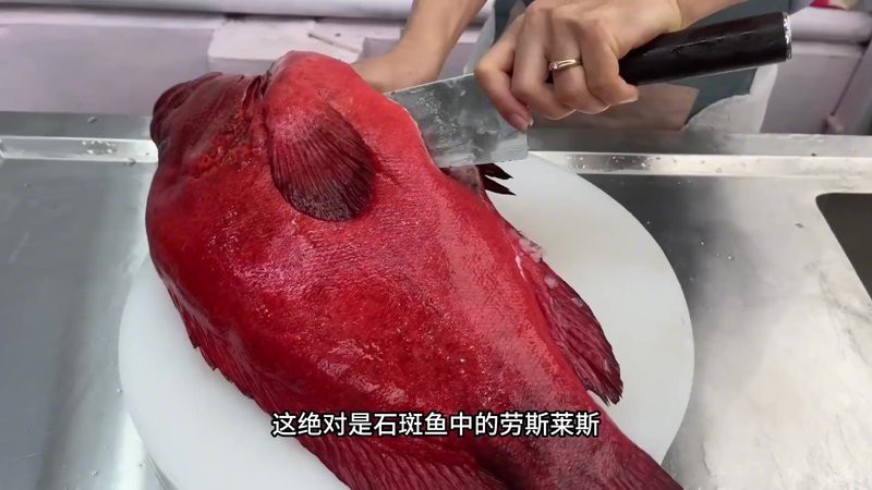 紅魚視頻觀賞大全