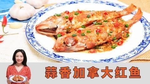 紅魚視頻觀賞大全