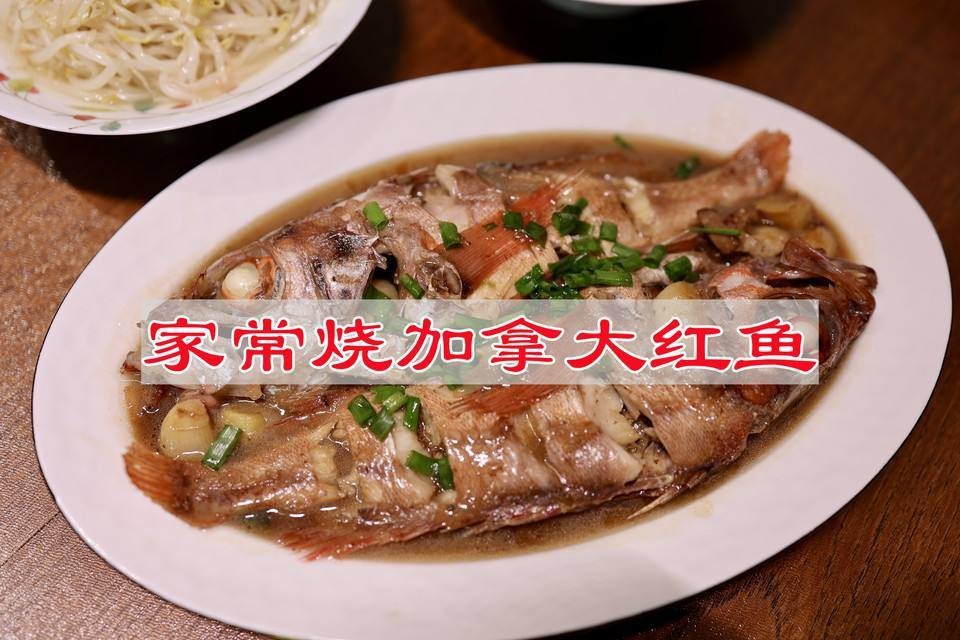 紅魚視頻觀賞大全