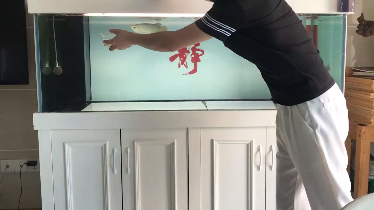狀態有點上來了