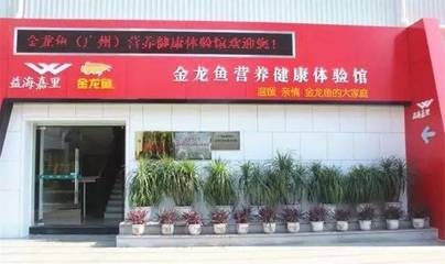 魚缸多久消毒（熱帶魚與冷水魚養(yǎng)護(hù)區(qū)別）