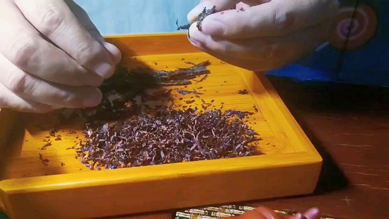 養魚的快樂