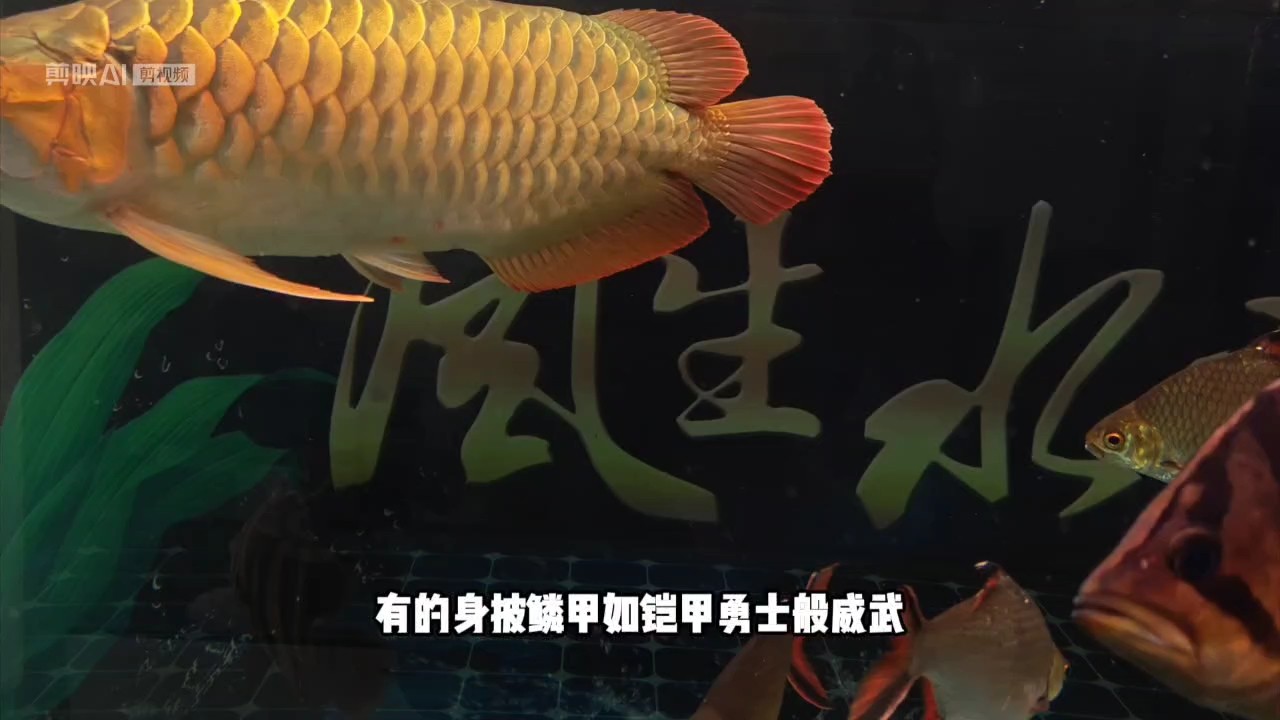 好久沒拍了。