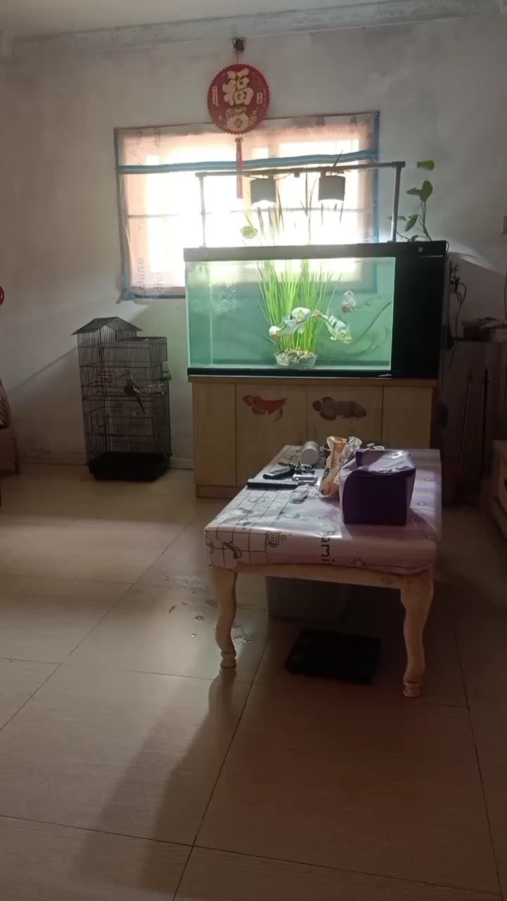 玩玩三間了 玩玩三間了 龍魚論壇