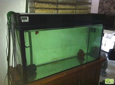 廣州二手魚缸交易平臺有哪些地方（廣州二手魚缸交易平臺）
