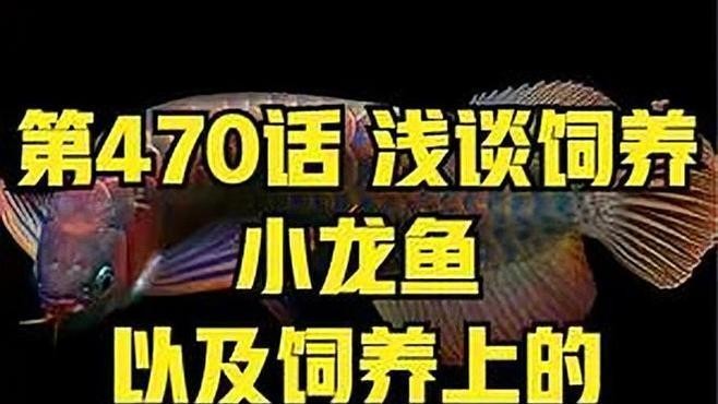 龍魚翹嘴怎么辦才能活的久