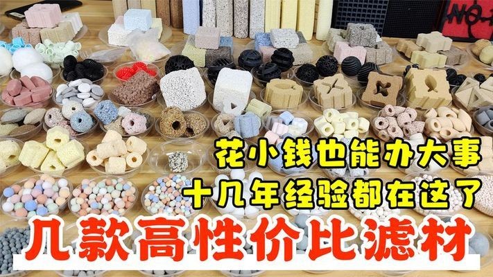 頂級金龍魚價(jià)格表（金龍魚市場價(jià)格走勢如何辨別金龍魚市場價(jià)格走勢）