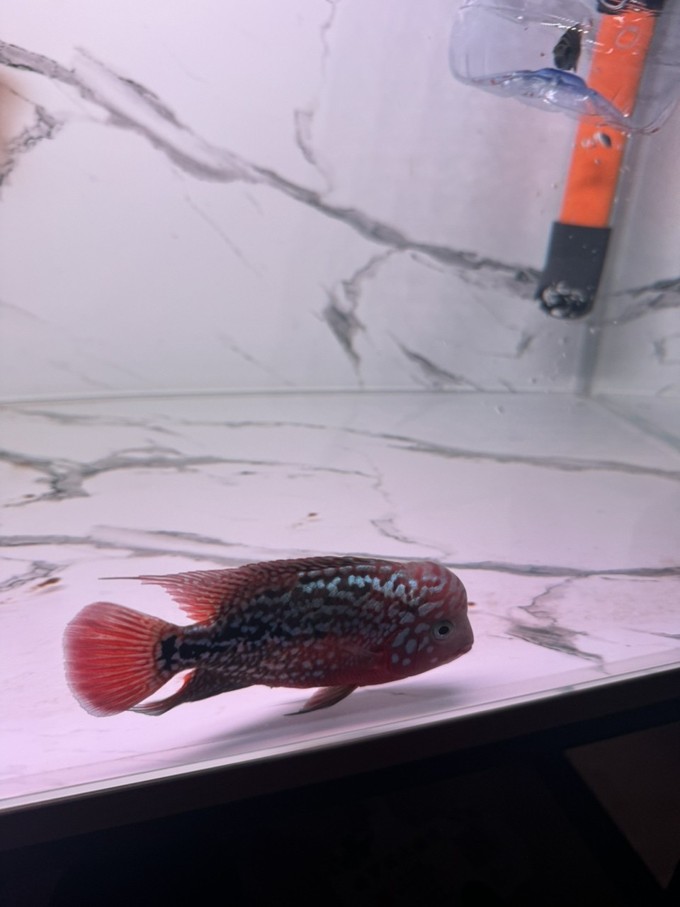 沒啥變化