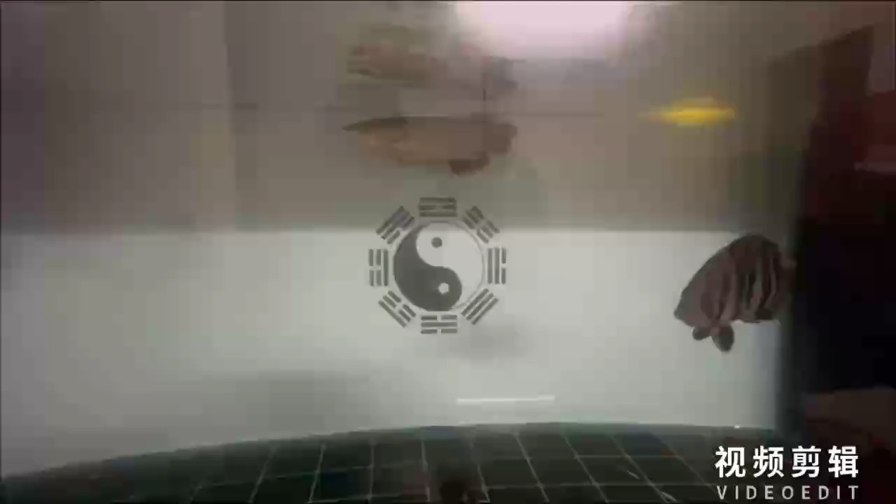正常的第二天