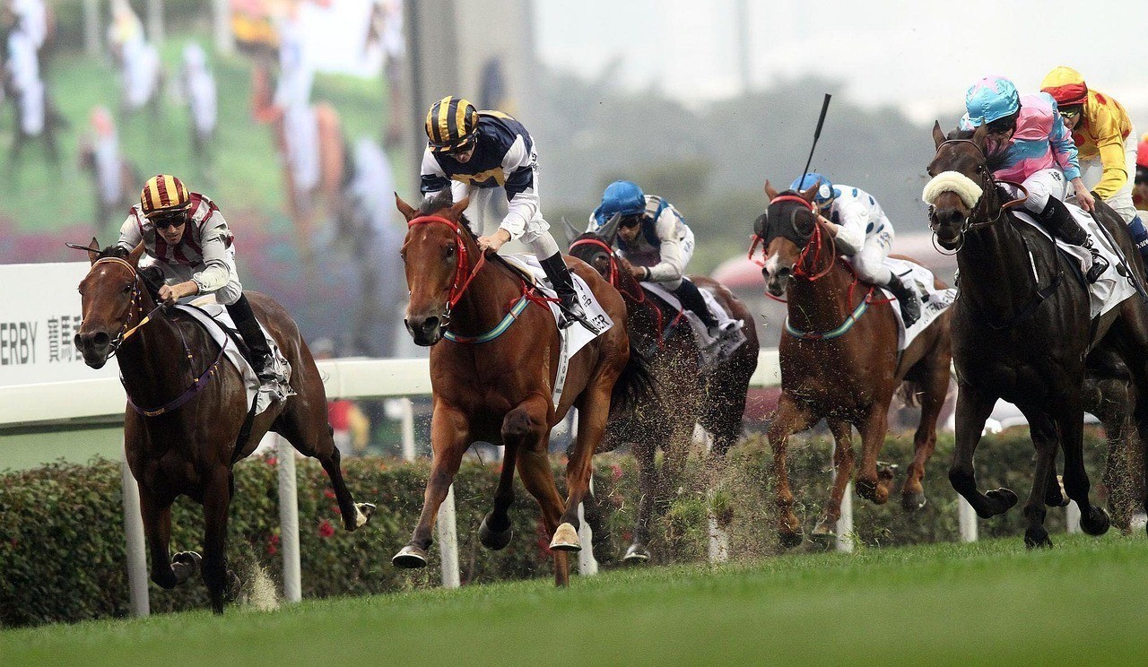 賽馬比賽
