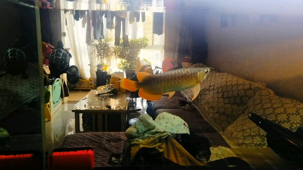 休假換水