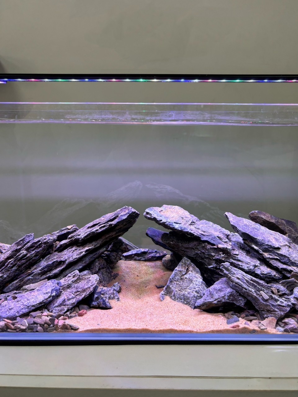 最終還是買了個(gè)bessn魚缸
