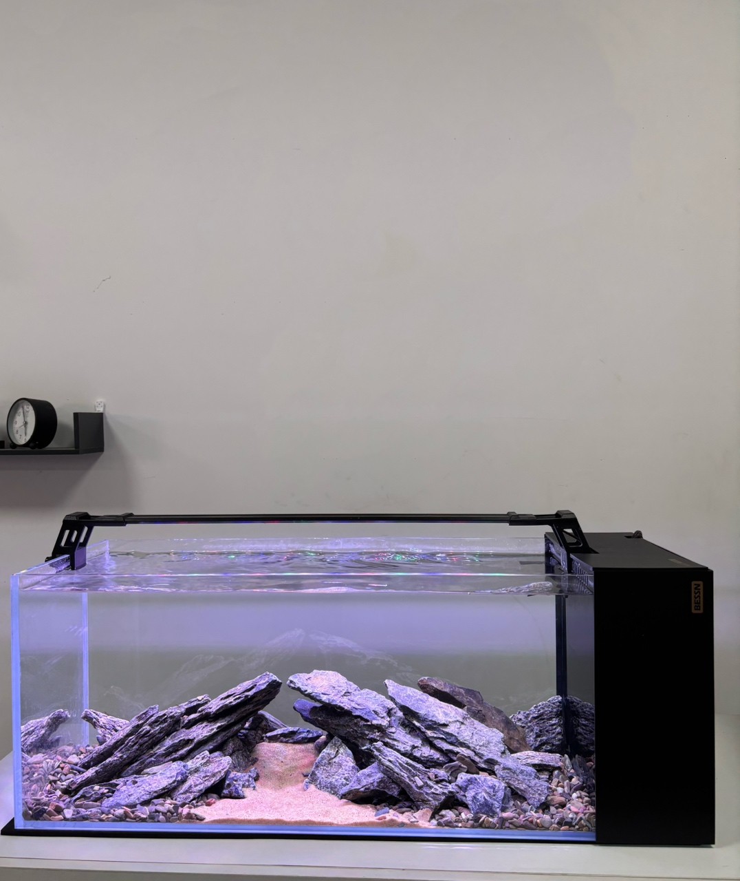 最終還是買了個(gè)bessn魚缸