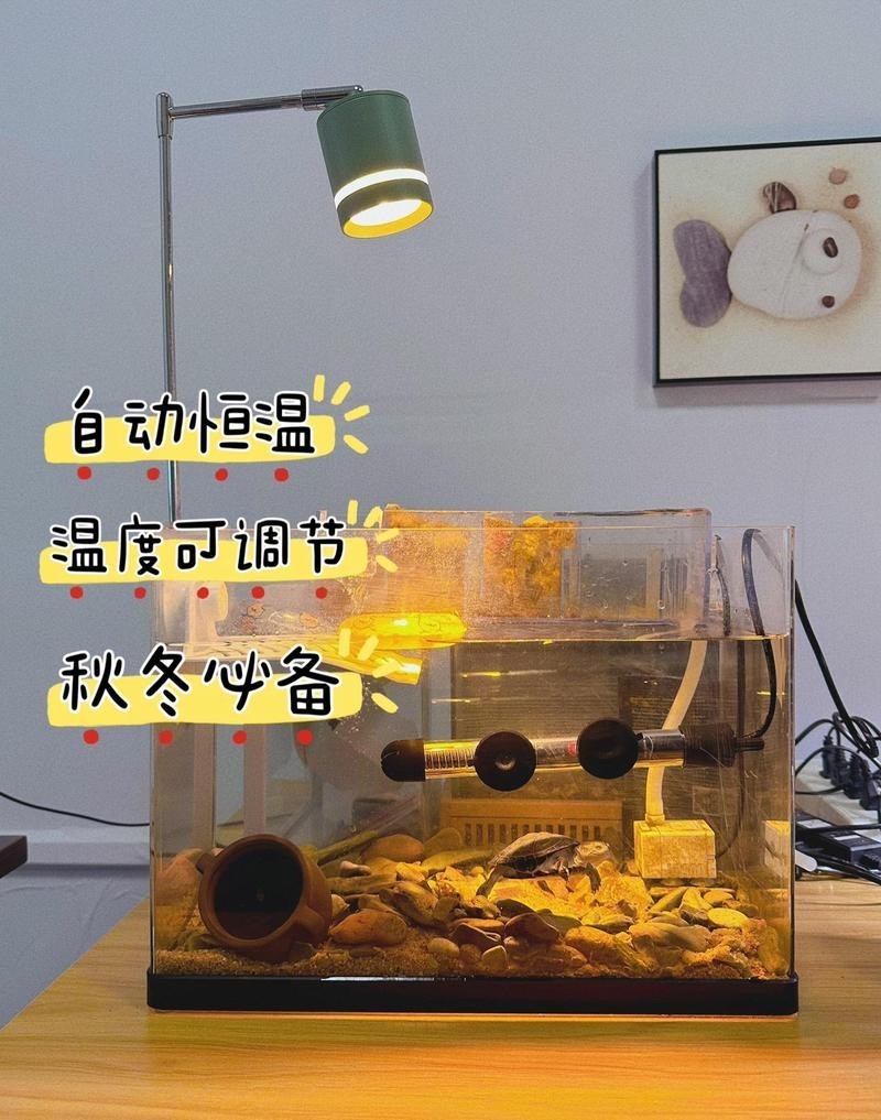 銀龍魚需要多大的加熱器？