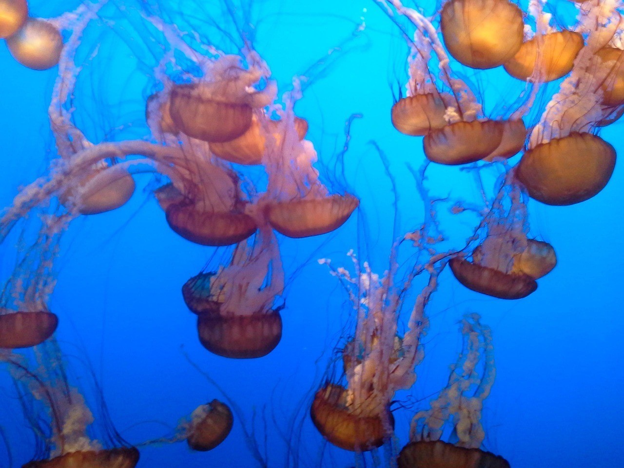 城陽區水之韻水族館（城陽區水之韻水族館電話）