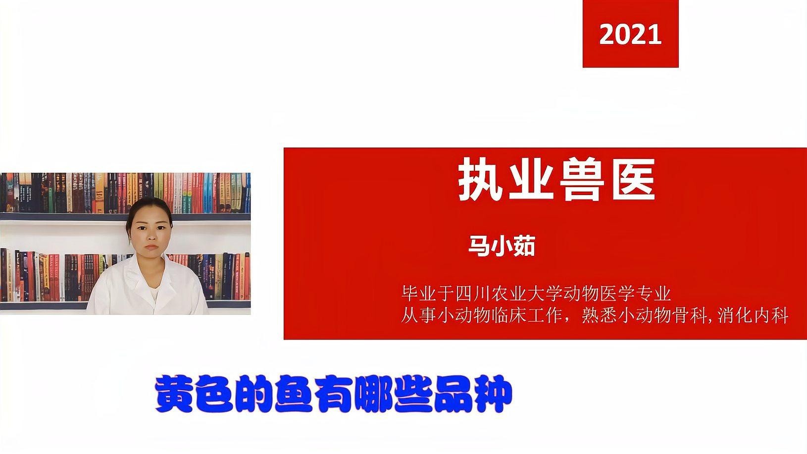 黃金龍魚圖片欣賞大全